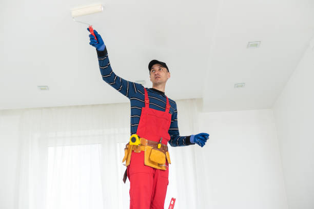 Best Biohazard Mold Removal  in Willows, CA